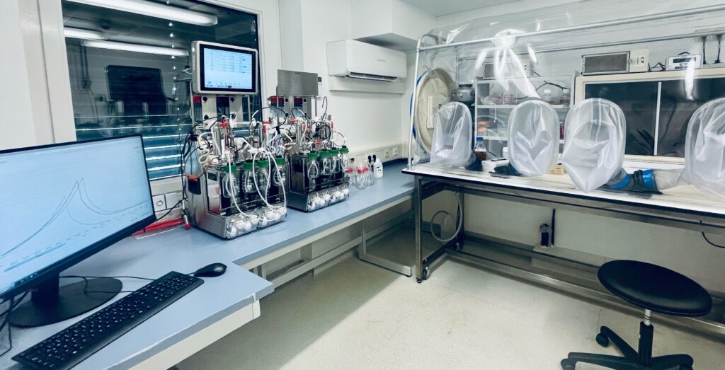 HT culture & screening